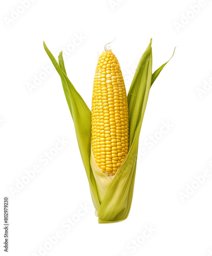 Vibrant yellow corn cob partially shucked, with fresh green leaves, isolated on a transparent background. Generative AI
