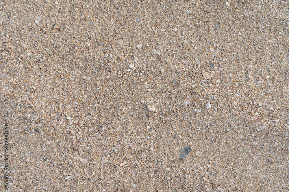 砂浜 砂浜