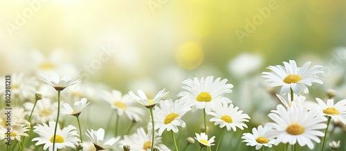 A copy space image featurin...