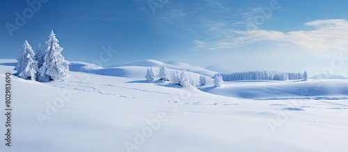 A beautiful winter landscap...