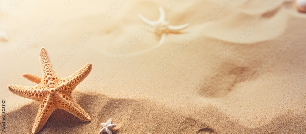 A background with a sandy texture featuring a starfish. with copy space image. Place for adding text or design