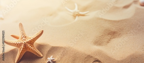 A background with a sandy texture featuring a starfish. with copy space image. Place for adding text or design