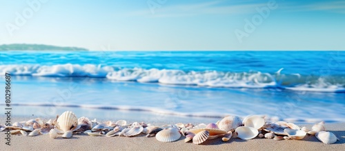 A copy space image of shell...