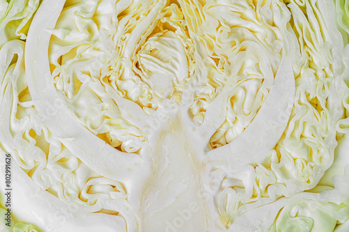 food background of slice of young fresh juicy cabbage close up © Mariia