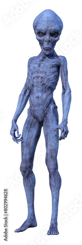 Illustration of a standing skeletal alien with blue skin and a large head looking forward with a menacing expression isolated on a white background.