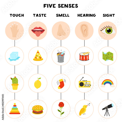 Five senses poster. Vector illustration. Sense organs.
