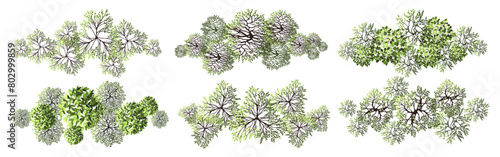 Tree for architectural floor plans. Entourage design. Various trees, bushes, and shrubs, top view for the landscape design plan. Vector illustration.