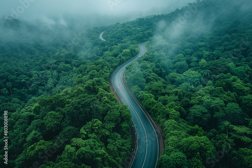 curved road through tropical forests seen from flight level