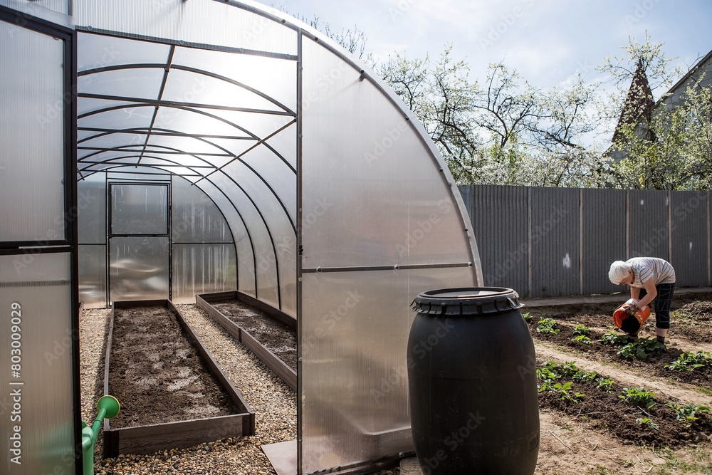 A new greenhouse made of polyethylene and polycarbonate with new beds made of Wood-polymer composite. Preparing for the spring garden season. Installation of a greenhouse in a suburban area. A new greenhouse made of polyethylene and polycarbonate with new beds made of Wood-polymer composite. Preparing for the spring garden season. Installation of a greenhouse in a suburban area.