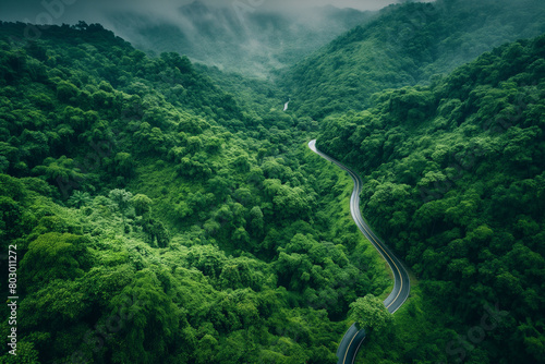 view of the road to mountains, From a bird's eye perspective, the lush green canopy of a rain-drenched forest stretches out beneath the viewer
