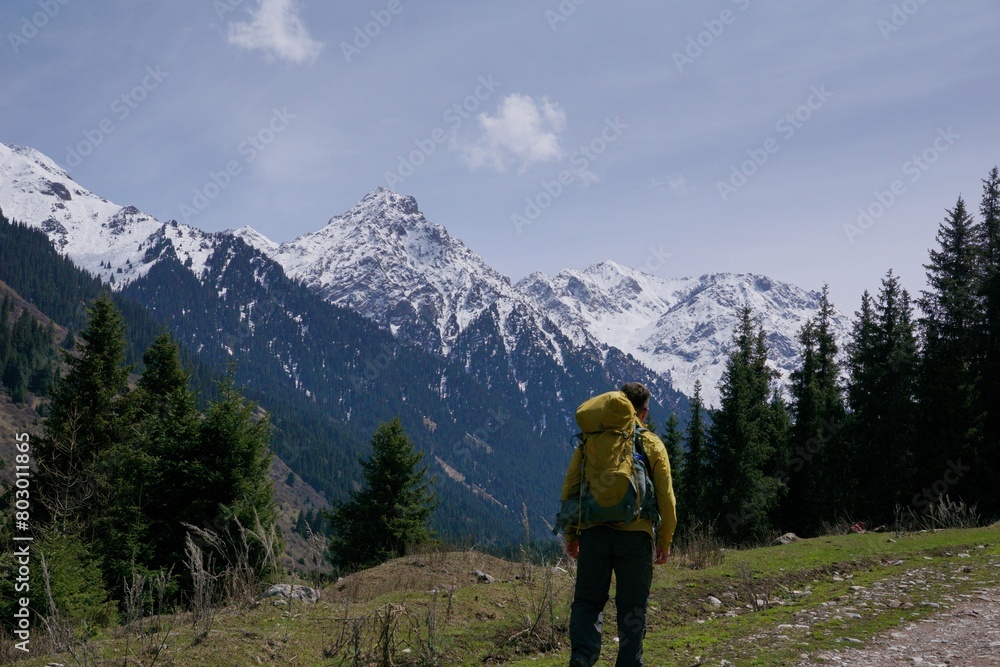 a man with a tourist backpack walks along a mountain road against the background of a forest and snowy mountains