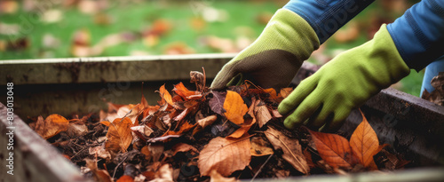 Garden Craftsman: Person Wearing Gloves Delving into Dirt and Leaves, Tending to the Earth