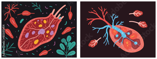 Vector Illustration of Liver Inflammation - Understanding Hepatitis and Its Health Implications.