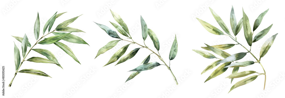 Naklejka premium Set of three tropical branches with green leaves