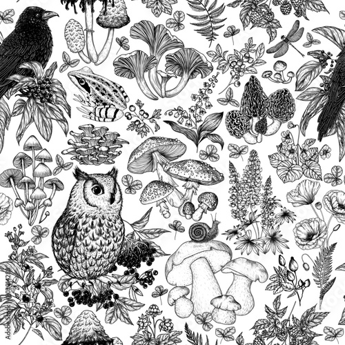 Seamless vector pattern forest flora and fauna. Birds, animals, berries, mushrooms, flowers, plants. Frog, owl, raven, snail, raspberry, blackberry, fly agaric, porcini mushroom, chanterelles, lupine