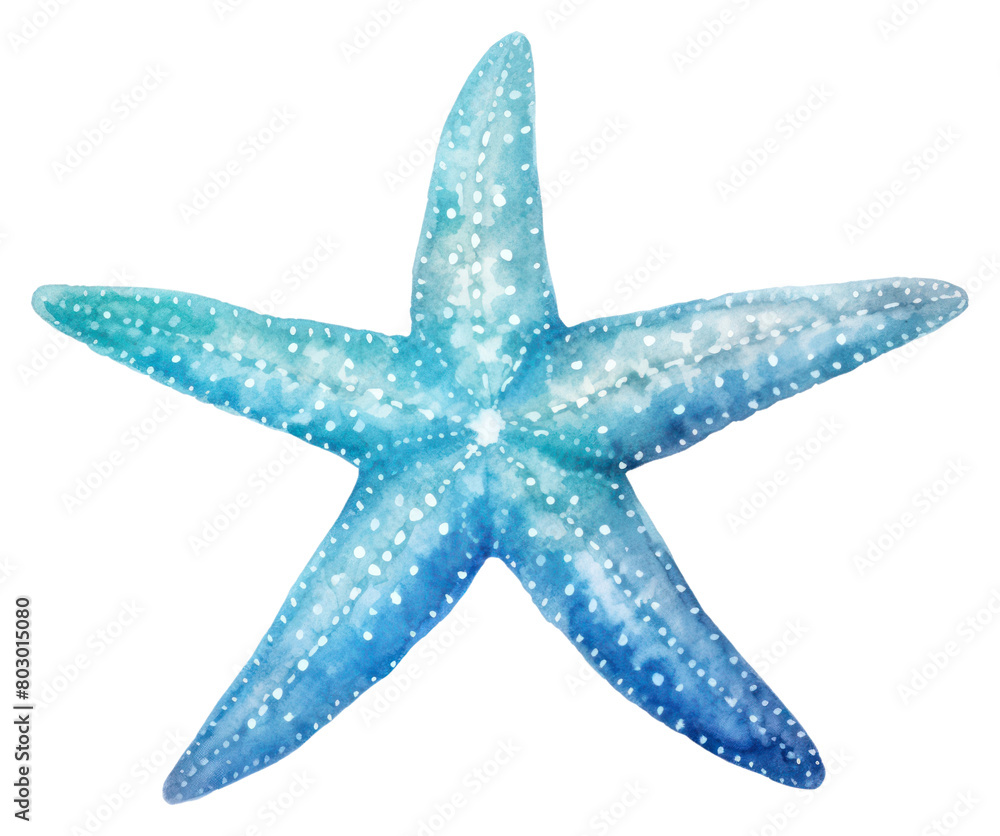 PNG Starfish blue white background invertebrate. PNG Starfish blue white background invertebrate.