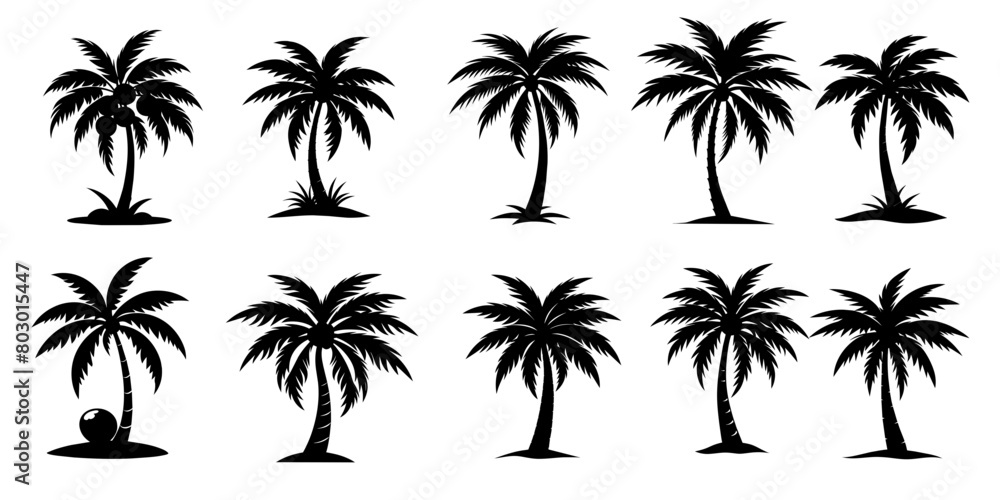 palm trees silhouettes