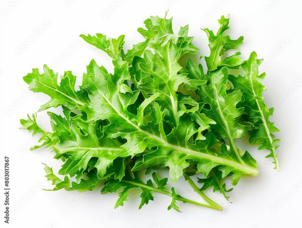 A bunch of green lettuce leaves, a staple food and popular ingredient, is displayed on a white surface. Lettuce is a leaf vegetable, a terrestrial plant, and a type of produce from the grass family A bunch of green lettuce leaves, a staple food and popular ingredient, is displayed on a white surface. Lettuce is a leaf vegetable, a terrestrial plant, and a type of produce from the grass family