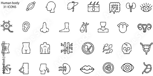 Human Body Icons vector design
