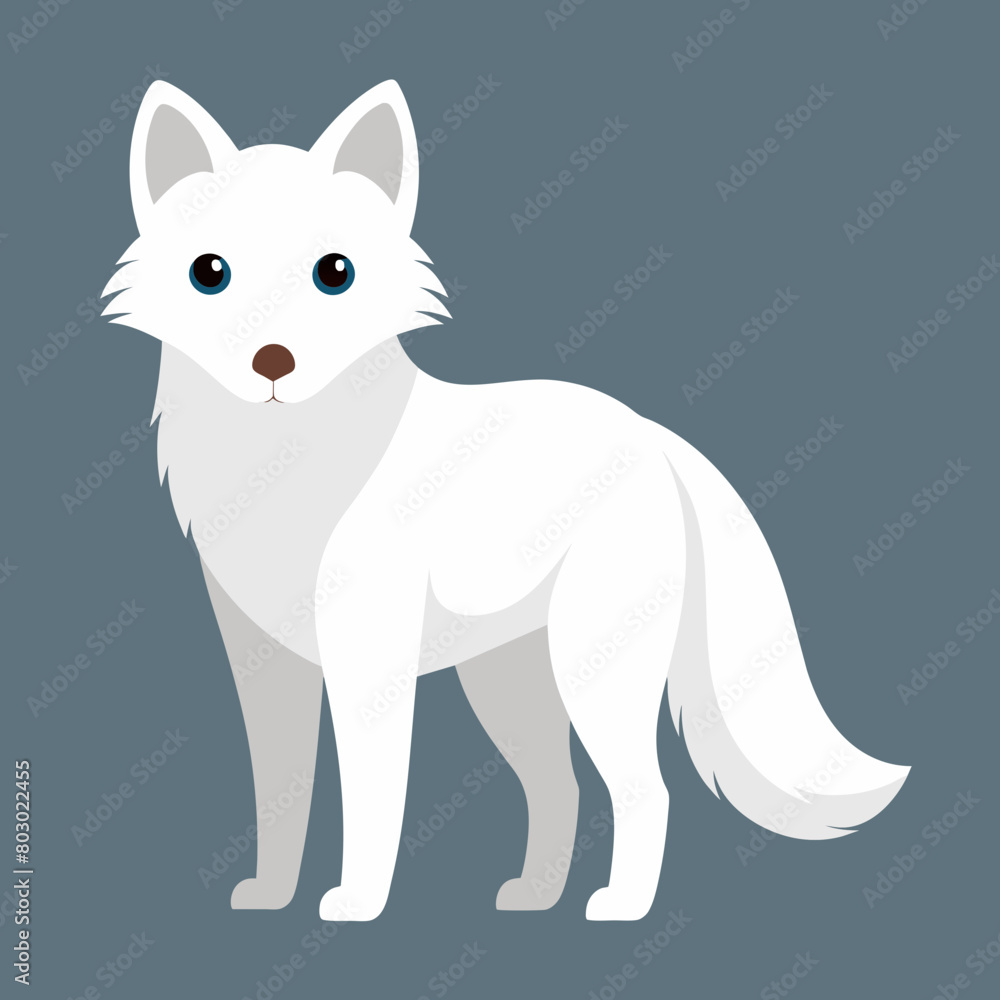 Arctic fox vector art illustration