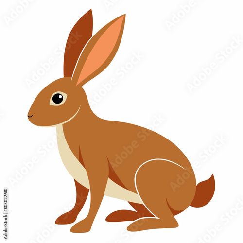 rabbit vector art illustration