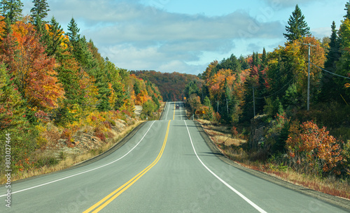 Fall colours along Highway 60 in Algonquin Park, Canada