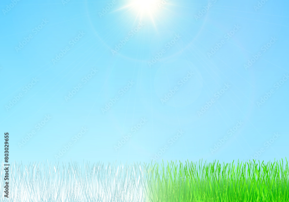 Winter summer solstice background, illustration. The alternation of snowy white and fresh green grass symbolizes the change of seasons with the radiant sun in the middle.