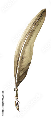 Quill isolated on white. An old pen with feather watercolor painting.
