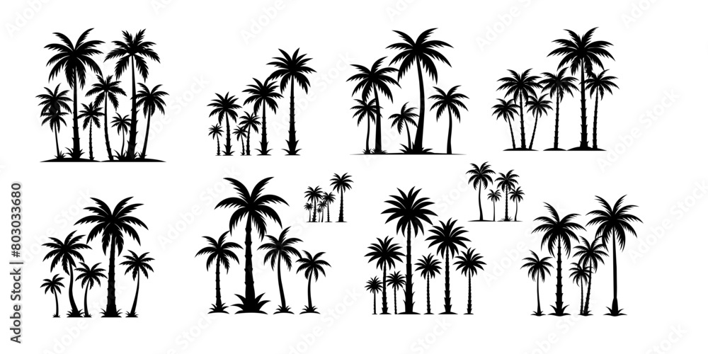 palm trees silhouettes
