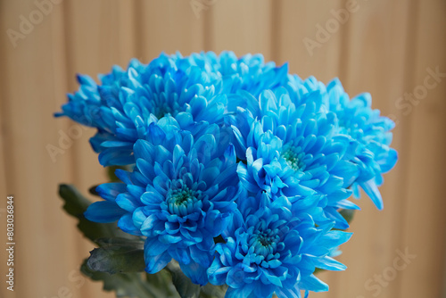 bouquet of blue flowers on a light background