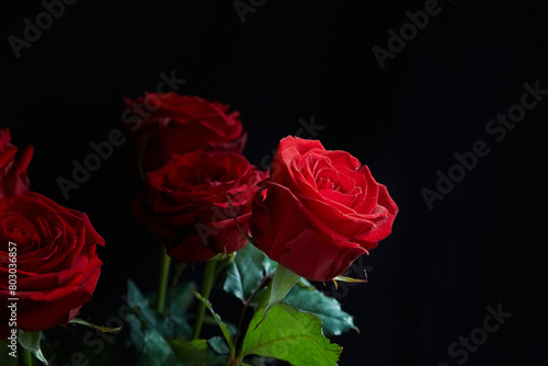 Bouquet of red roses on a dark background, red rose flowers on a black background in bright light, bouquet of roses on a dark background
