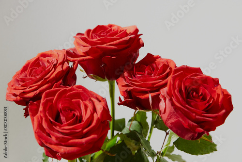 Five red roses on a light background, bouquet of red roses on a light background, red roses on a light background