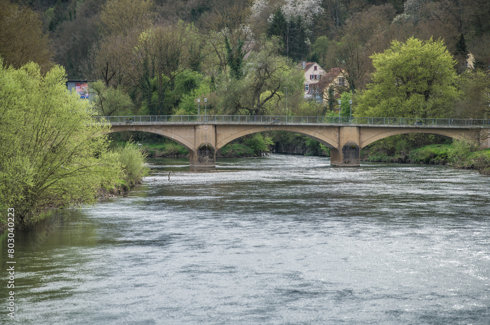 Steinerne Rundbogenbrücke vor Bäumen mit frischem Blattgrün und versteckten Häusern an Fluss mit silbern glänzenden Reflexionen	