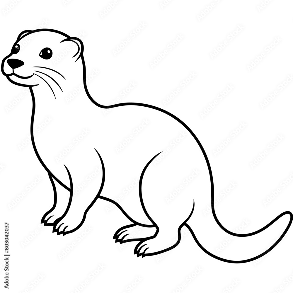 realistic Otter vector illustration, solid white background (24)