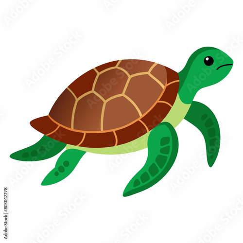 Sea Turtle Vector art illustration (5)