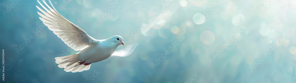 Obraz premium peace dove in the sunlight, created with generative AI technology