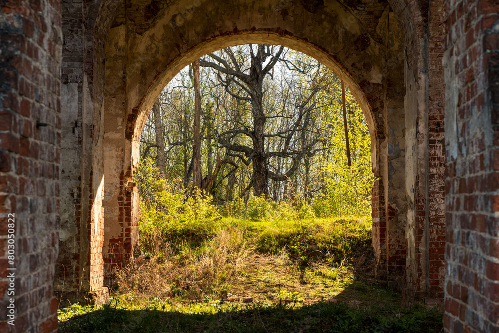 Exit from the ruined stone building in the form of an arch, into the green forest