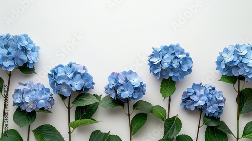 Blue and White Flower Bouquet in Nature