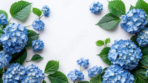 Floral Frame with Pink Flowers and Leaves on White Background