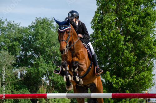 Show jumping competition on horseback. Horse Jumping, Equestrian Sports, Show Jumping themed photo.
