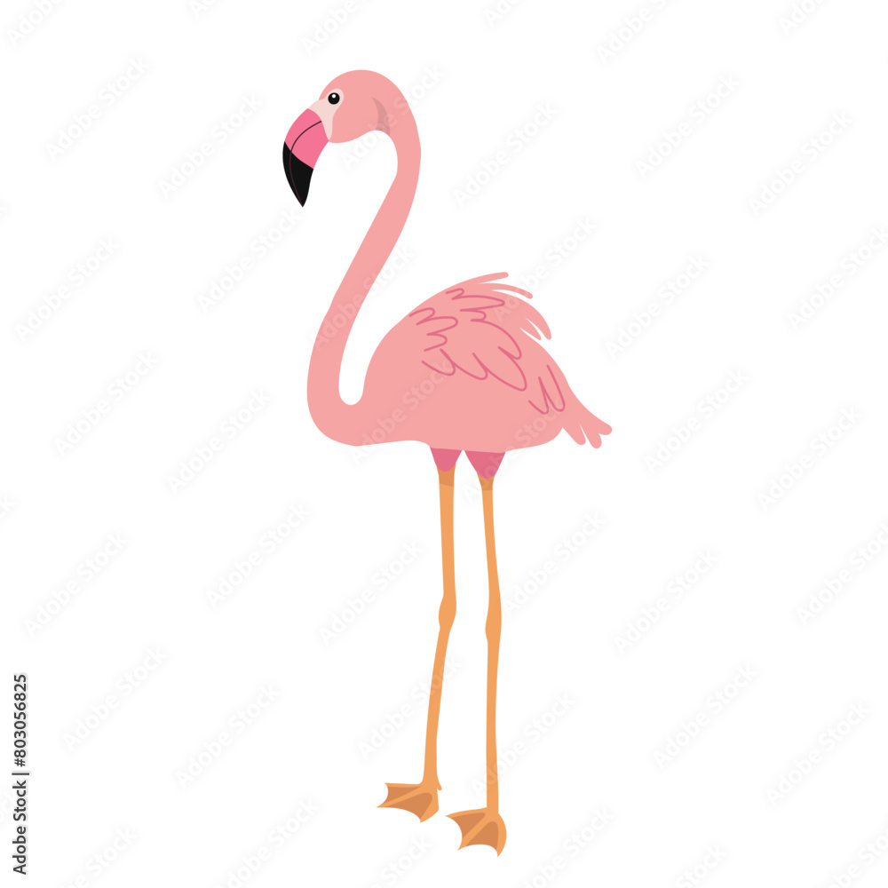 Fototapeta premium pink flamingo on white background vector