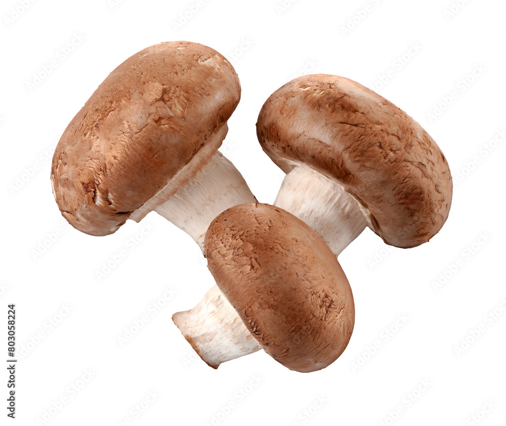 Ripe mushrooms champignons. Organic food vegetables isolated. PNG. Ripe mushrooms champignons. Organic food vegetables isolated. PNG.