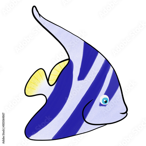 fish on a white background