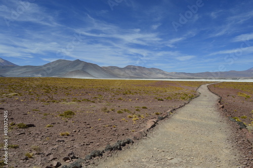 Trilha demarcada no Deserto de Atacama photo