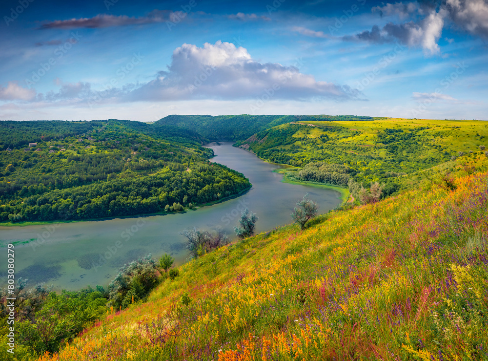Wonderful summer view of blooming hills aroud Dnister river. Marvelous morning scene of lush pasture on the slopes of river canyon, Ukraine, Europe. Beauty of nature concept background.