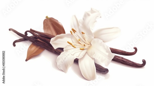 Artistic illustration of a white lily flower alongside smooth vanilla beans on a light background. photo