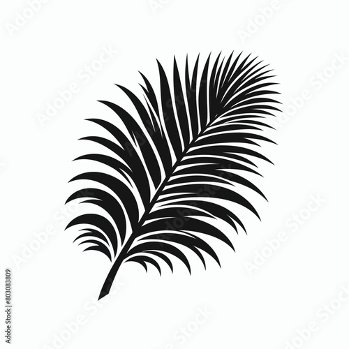 palm tree leaf set silhouette illustration white background © sahenur89