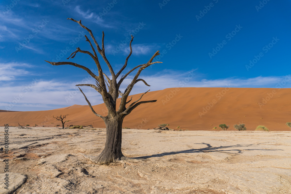 Deadvlei, Sossusvlei, Namibia