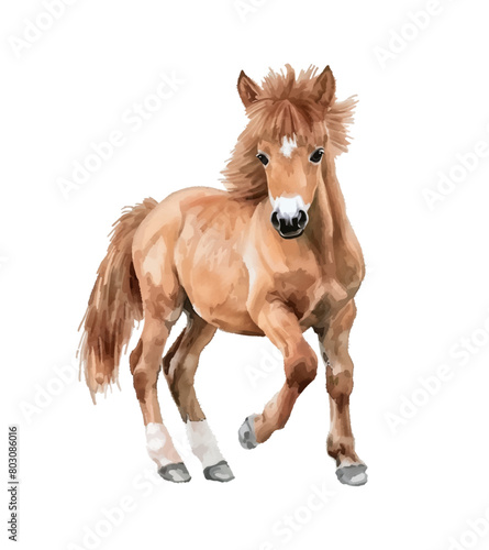 horse pony watercolor digital painting good quality