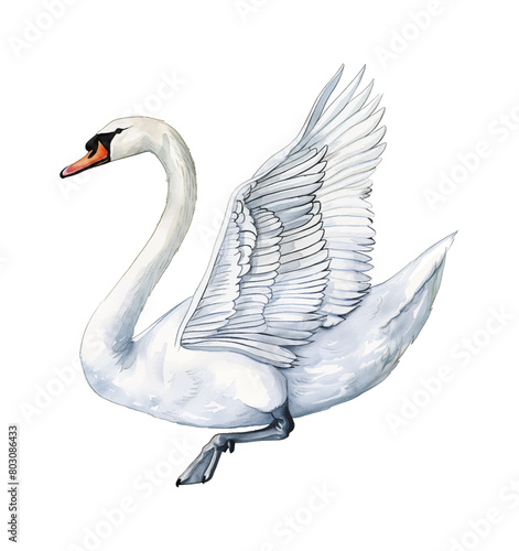 white swan watercolor digital painting good quality